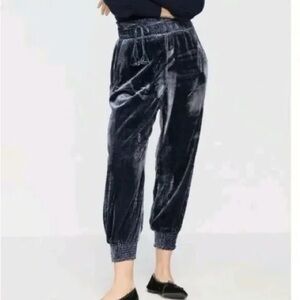 Anthropologie Velvet Jogger Pants in Dark Blue